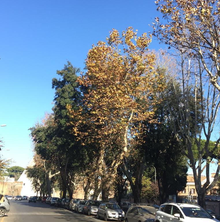Appartamento Piramide